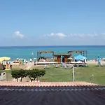 South Paradise Palmi