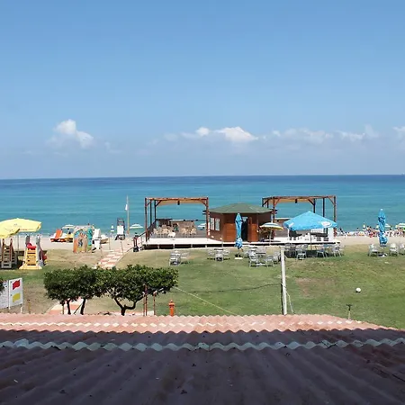 South Paradise Palmi