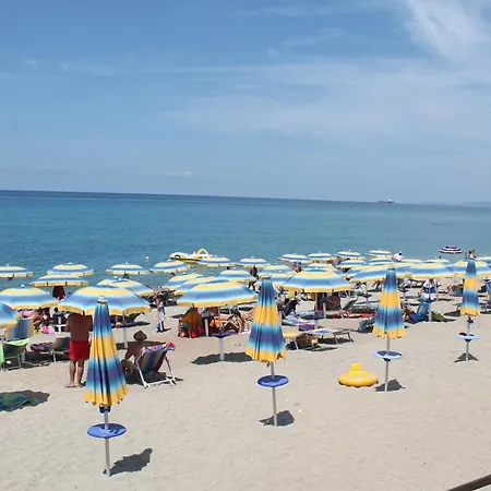 South Paradise Palmi