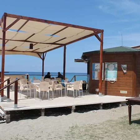 South Paradise 호텔 팔미