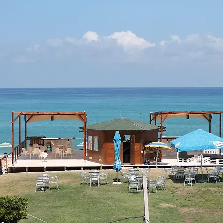 South Paradise 호텔 팔미