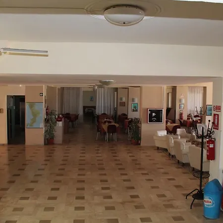 South Paradise Palmi