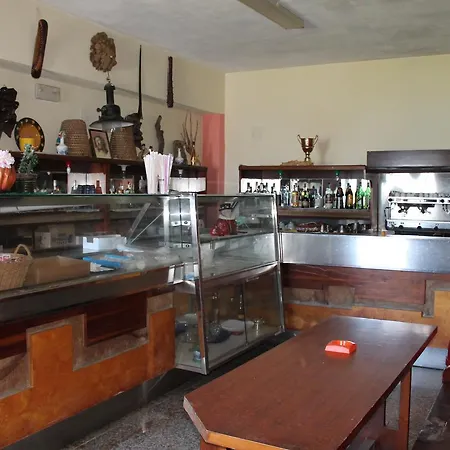 South Paradise Hotel 3*