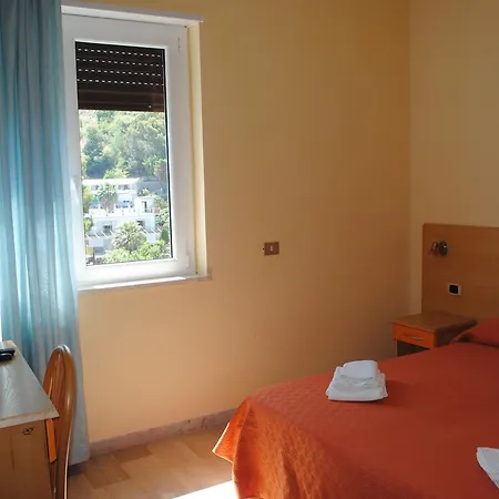 South Paradise Palmi