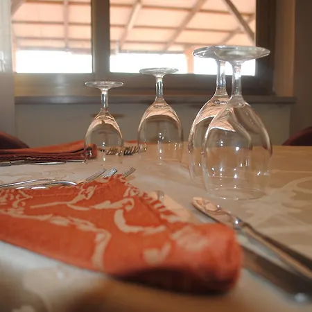 South Paradise 3* Palmi