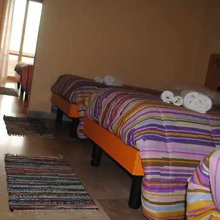 South Paradise 팔미