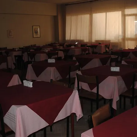 South Paradise 호텔