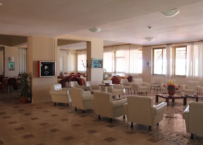 South Paradise Palmi