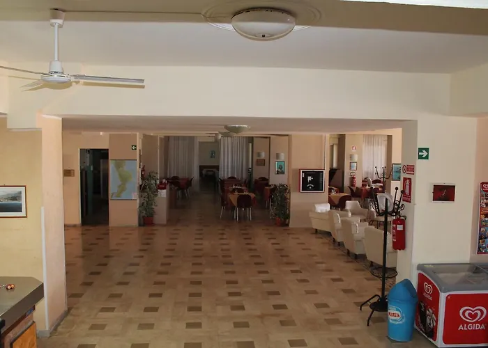 South Paradise Palmi