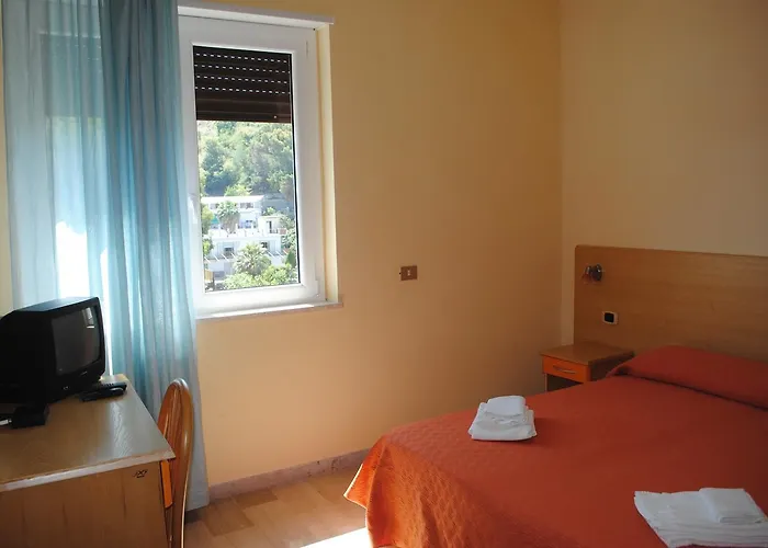 South Paradise Palmi