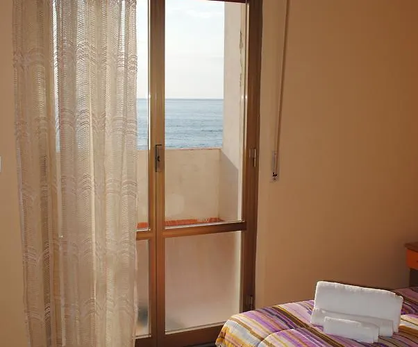 South Paradise Palmi