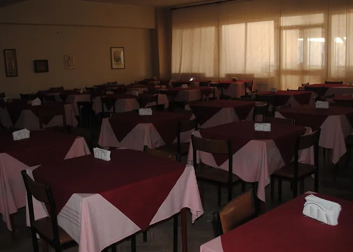 South Paradise Hotel